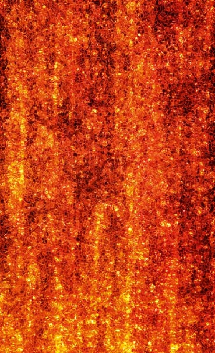 Sieninis šviestuvas Fantasia